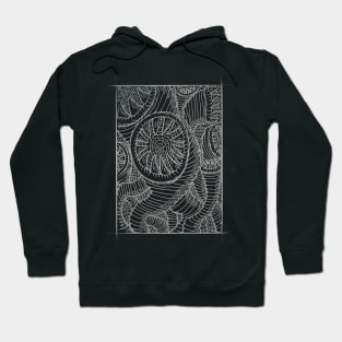 Field Of Tapeworms Hoodie